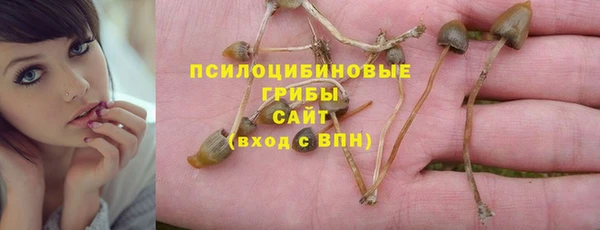 ALPHA PVP Арсеньев